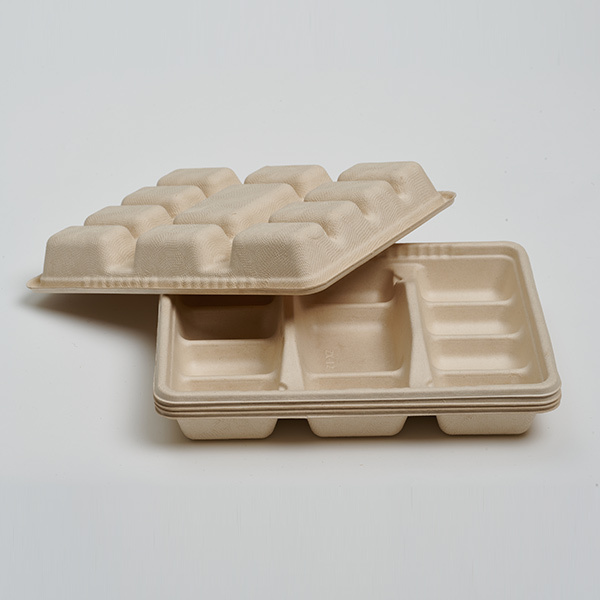 12‑Compartment Disposable Bagasse Dumpling Tray – Compostable Food Container