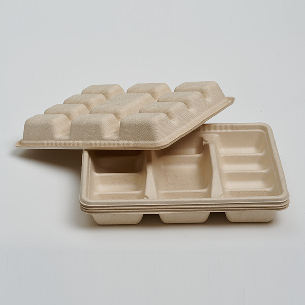 12‑Compartment Disposable Bagasse Dumpling Tray – Compostable Food Container
