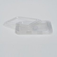 PET Lid of Dumpling Tray-12 pieces-Anti Fog