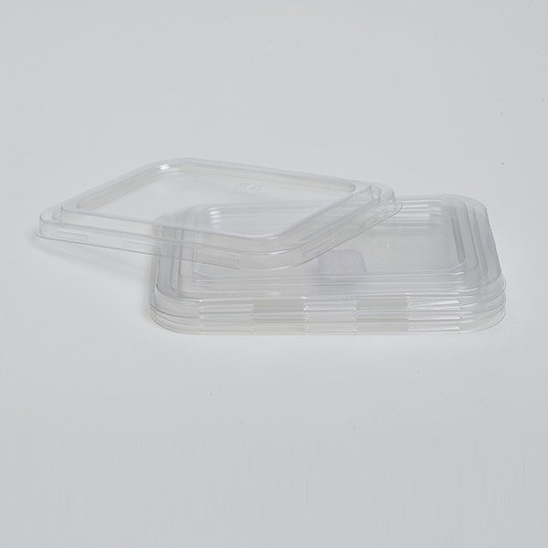PET Lid of Dumpling Tray-12 Pieces Anti-Fog Compostable Food Safe