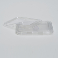 PET Lid of Dumpling Tray-12 pieces-Anti Fog