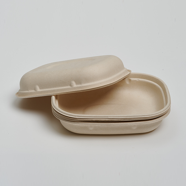 6*8.5 PLA Laminated Food Tray Disposable Bagasse Lunch Box