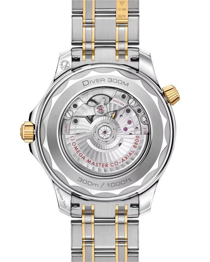 Seamaster Diver 300M