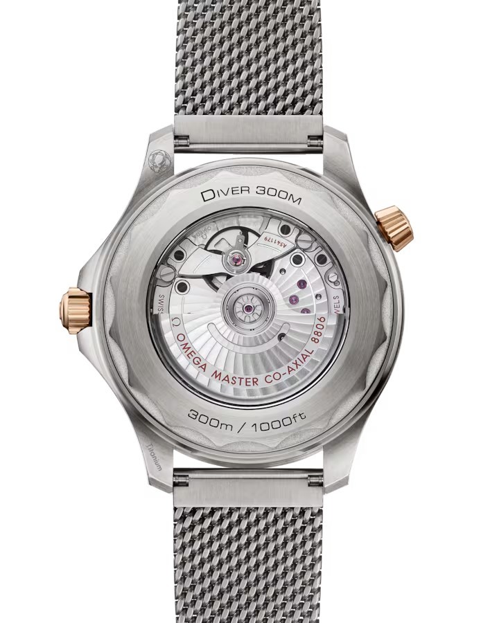 Seamaster Diver 300M