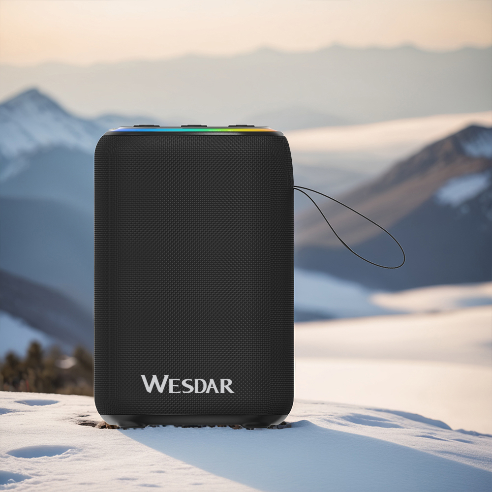 Portable Home Theater Subwoofer Big Capacity Hifi Wireless Loud Speaker