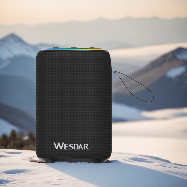 Portable Home Theater Subwoofer Big Capacity Hifi Wireless Loud Speaker