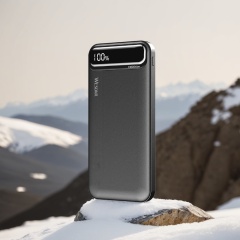 10000mah Portable Small Fast Charging Power Bank With Led Display Screen Design