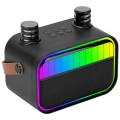 Portable Bluetooth 5.0 Wireless Speaker With Double Microphone