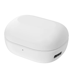 Bluetooth V5.3 JL Chip Mini TWS Earbuds With LED Power Display