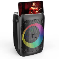Wireless IPX4  4'' Bluetooth Speakers With RGB Light for Home Party