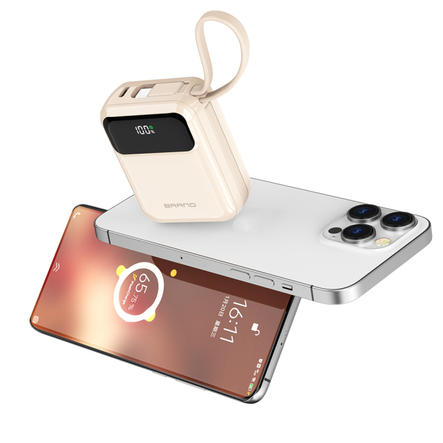 10000mAh Power Banks With Type C Cable LED Power Display