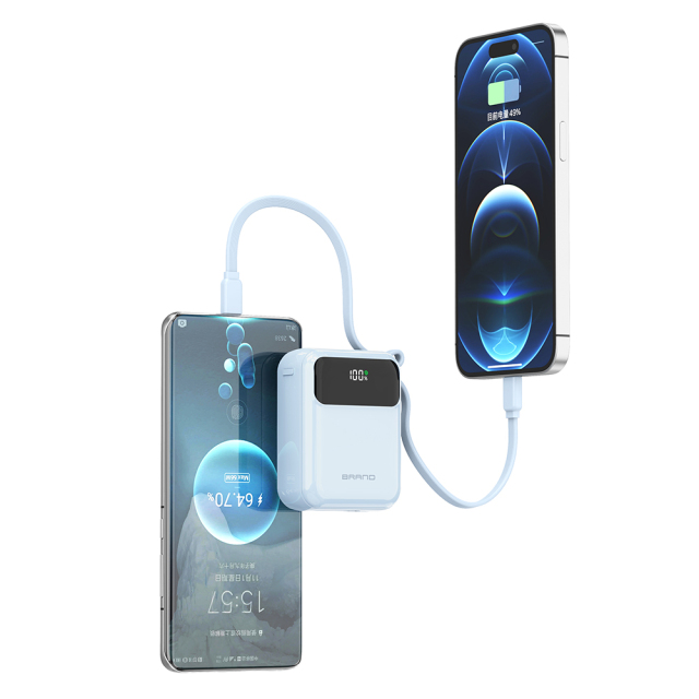 10000mAh Power Banks With Type C Cable LED Power Display