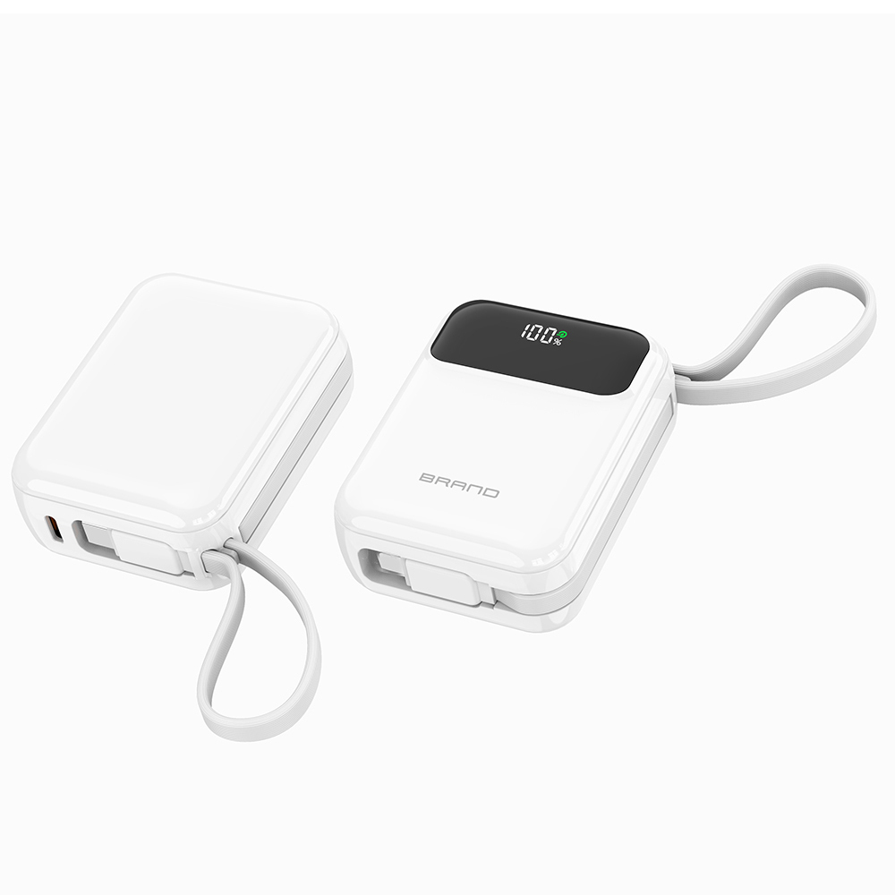 10000mAh Power Banks With Type C Cable LED Power Display
