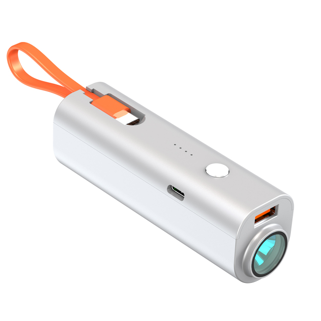 5000mAh Portable Mini Power Bank Small With Stylish Type-C Cable