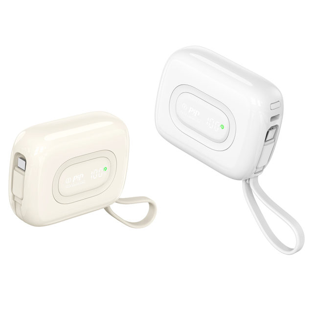 10000mAh Smart Portable Power Bank with Fast Charging Cable