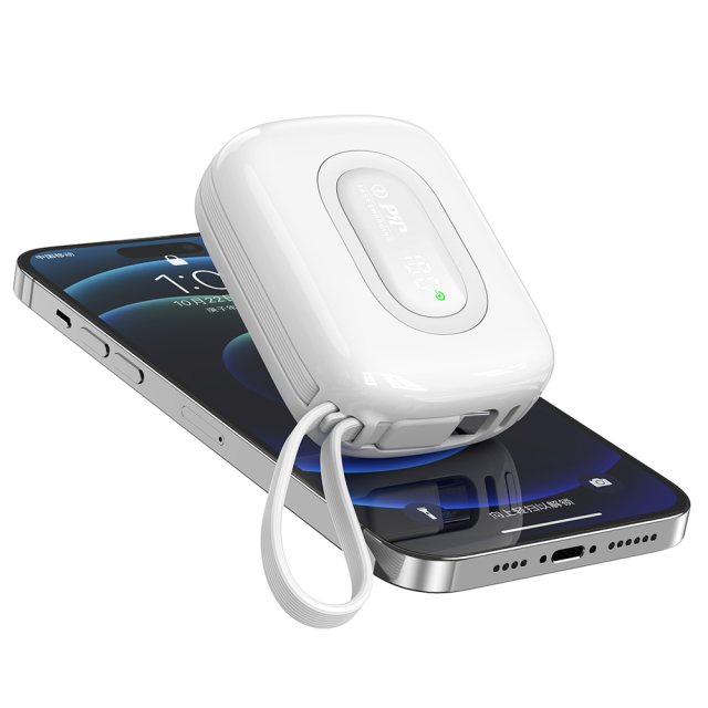 10000mAh Smart Portable Power Bank with Fast Charging Cable