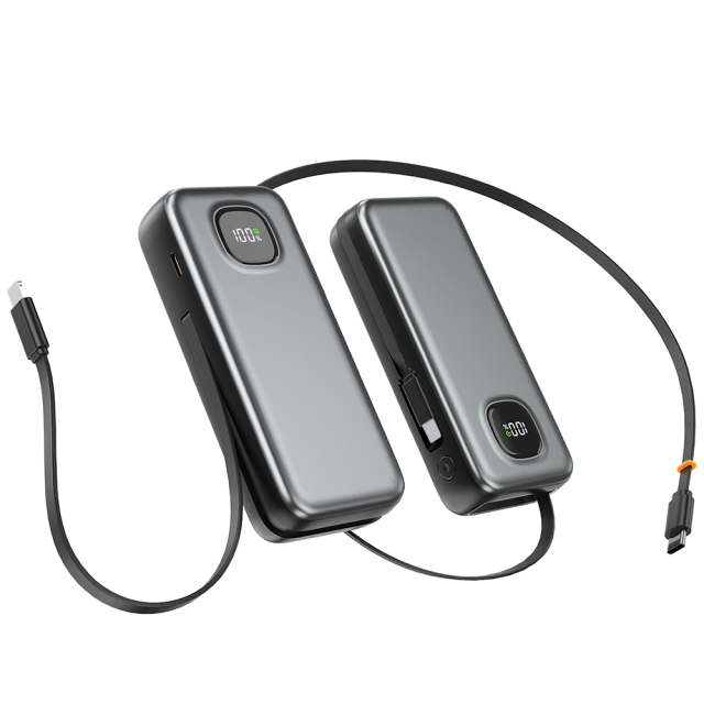 WESDAR Li-Polymer Battery Digital Screen Mobile Phone Power Bank 10000mAh