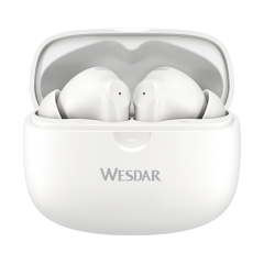 WESDAR ENC Pro TWS Earbuds HiFi Stereo, Dual Mic Noise Cancelling