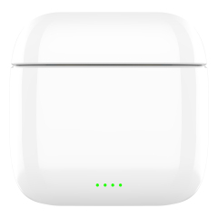 Alloy TWS Earphones -Bt 5.3, 10mm HD Sound, 4.5H Playtime,ABS+Zinc Alloy Build