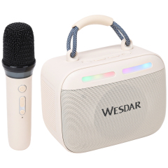 WESDAR Karaoke Party Speaker with Wireless Mics- Bt 5.3,Sound, RGB Lights