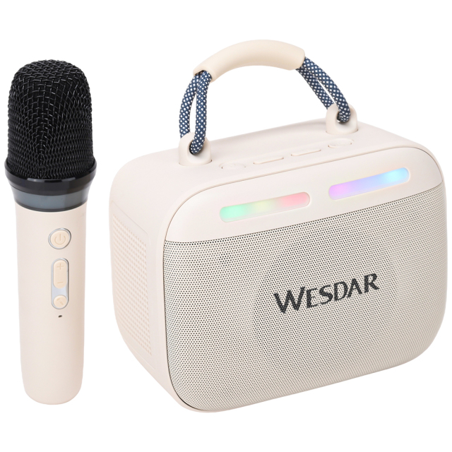 WESDAR Karaoke Party Speaker with Wireless Mics- Bt 5.3,Sound, RGB Lights