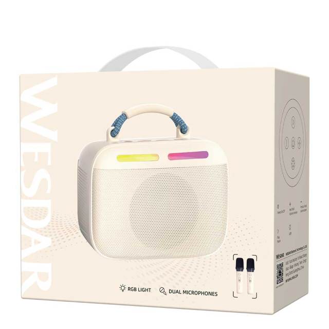 WESDAR Karaoke Party Speaker with Wireless Mics- Bt 5.3,Sound, RGB Lights