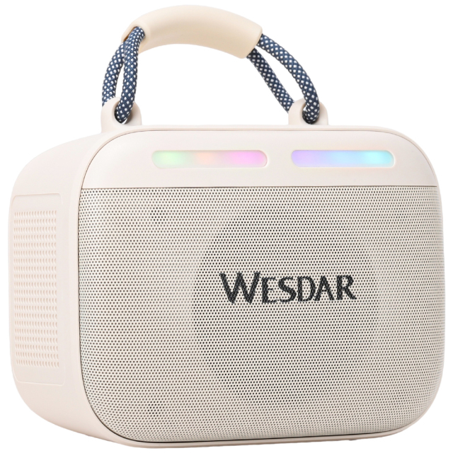 WESDAR Karaoke Party Speaker with Wireless Mics- Bt 5.3,Sound, RGB Lights