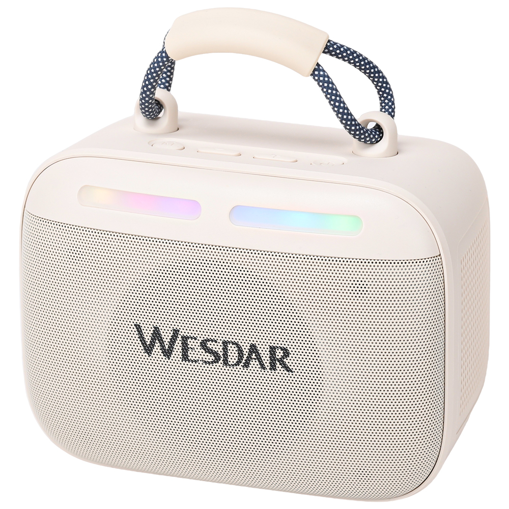 WESDAR Karaoke Party Speaker with Wireless Mics- Bt 5.3,Sound, RGB Lights
