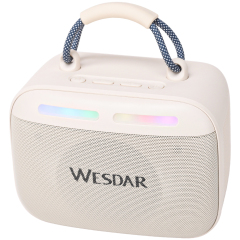 WESDAR Karaoke Party Speaker with Wireless Mics- Bt 5.3,Sound, RGB Lights