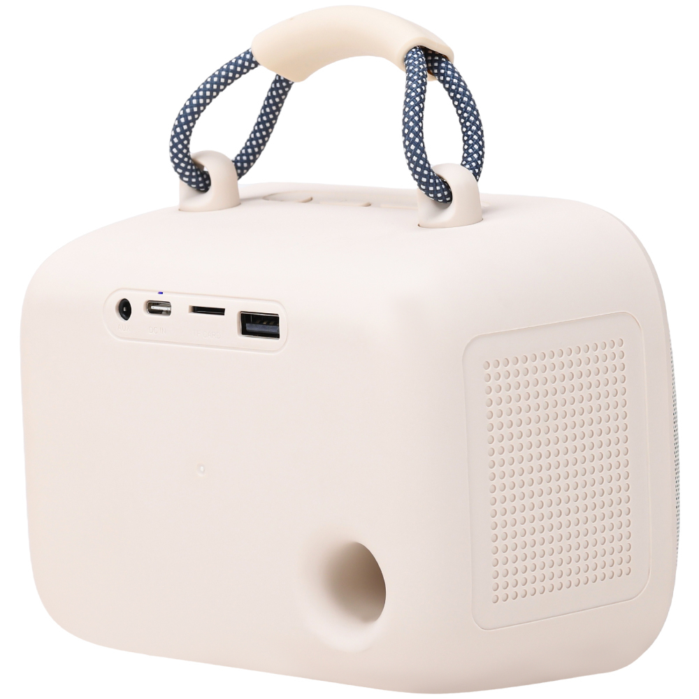 WESDAR Karaoke Party Speaker with Wireless Mics- Bt 5.3,Sound, RGB Lights