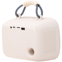 WESDAR Karaoke Party Speaker with Wireless Mics- Bt 5.3,Sound, RGB Lights