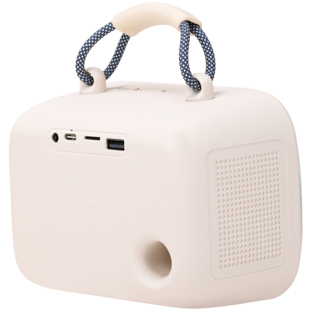 WESDAR Karaoke Party Speaker with Wireless Mics- Bt 5.3,Sound, RGB Lights