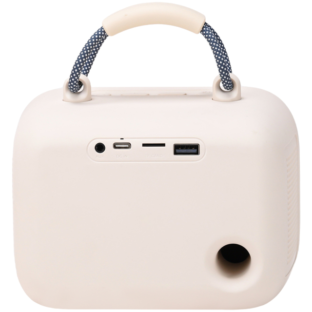 WESDAR Karaoke Party Speaker with Wireless Mics- Bt 5.3,Sound, RGB Lights