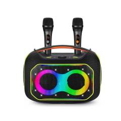 WESDAR 120W Powerful Karaoke Speaker with Dual Wireless Mics