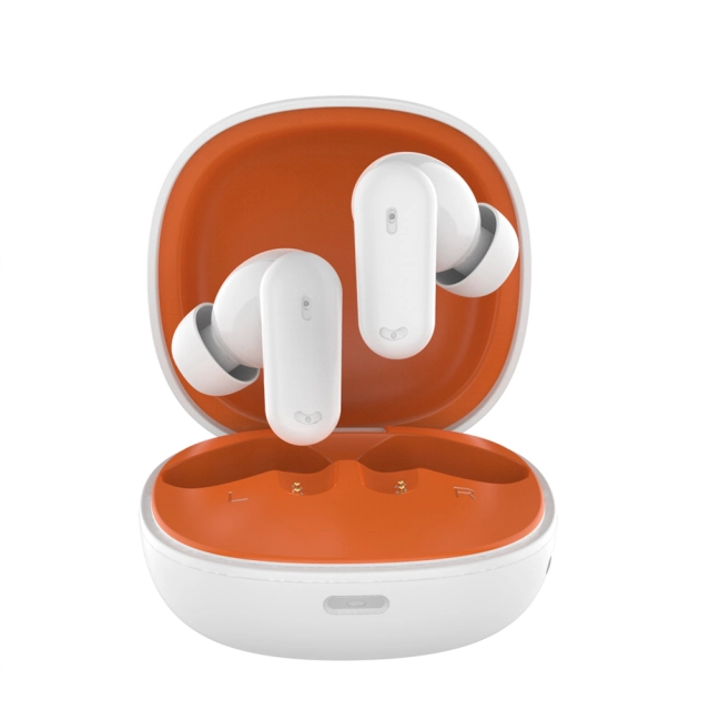 ANC TWS Earbuds Architecture