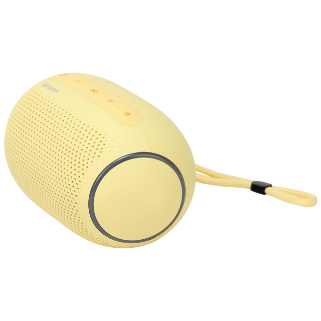 Soccer Ball Bt Speaker with Dynamic RGB Lights | Portable