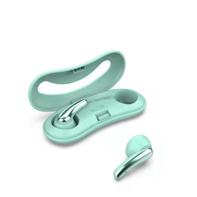 New In-Ear Wireless Earbuds with TFY Blue Charging Case,Bluetooth 5.4