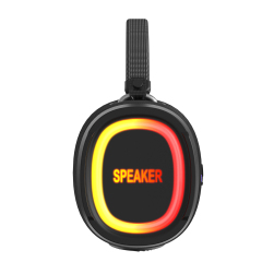 WESDAR 14W Portable Bluetooth Speaker with RGB Lights, Powerful Bass, BT6.0, IPX5