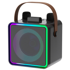 2025 New Handheld Bluetooth Speaker with RGB Lights & Dual Wireless Mics