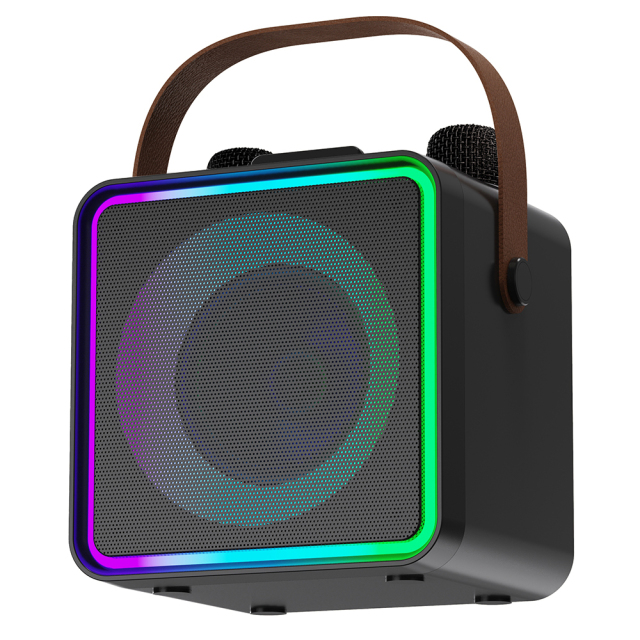 2025 New Handheld Bluetooth Speaker with RGB Lights & Dual Wireless Mics