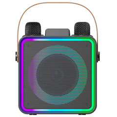 2025 New Handheld Bluetooth Speaker with RGB Lights & Dual Wireless Mics