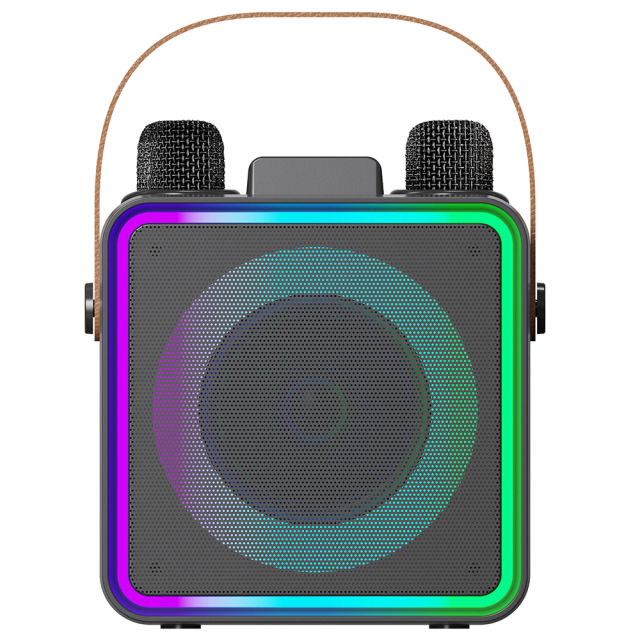 2025 New Handheld Bluetooth Speaker with RGB Lights & Dual Wireless Mics