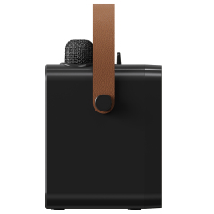 2025 New Handheld Bluetooth Speaker with RGB Lights & Dual Wireless Mics