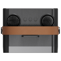 2025 New Handheld Bluetooth Speaker with RGB Lights & Dual Wireless Mics