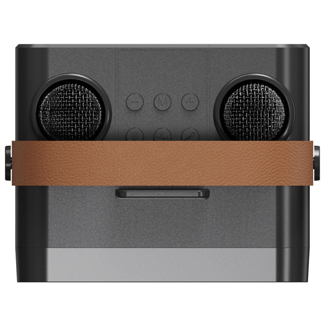 2025 New Handheld Bluetooth Speaker with RGB Lights & Dual Wireless Mics