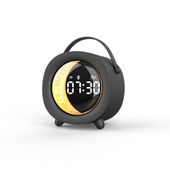 WESDAR Mini Portable Bluetooth Speaker 5.3,RGB Light, Alarm Clock & FM Radio