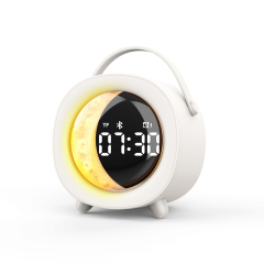 WESDAR Mini Portable Bluetooth Speaker 5.3,RGB Light, Alarm Clock & FM Radio