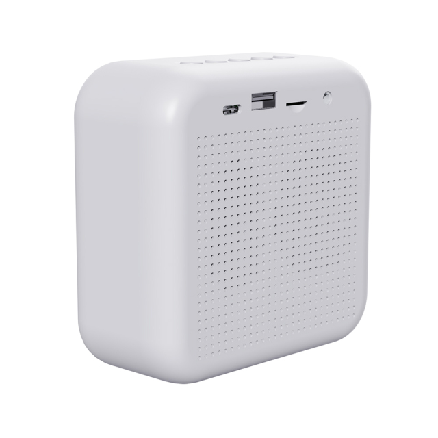 WESDAR Interesting Wireless BT Speaker with APP DIY GIF Display