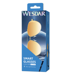 WESDAR BT 6.0 Smart Glasses | Wireless Audio Sunglasses