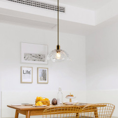 Led Pendant Light #HL66